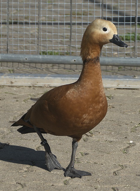 们在面对强
